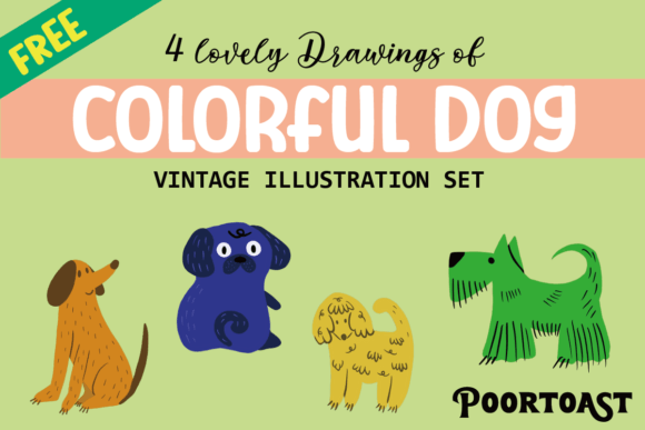 The Practical Appeal of a Colorful Dog Set for Modern Pet Owners